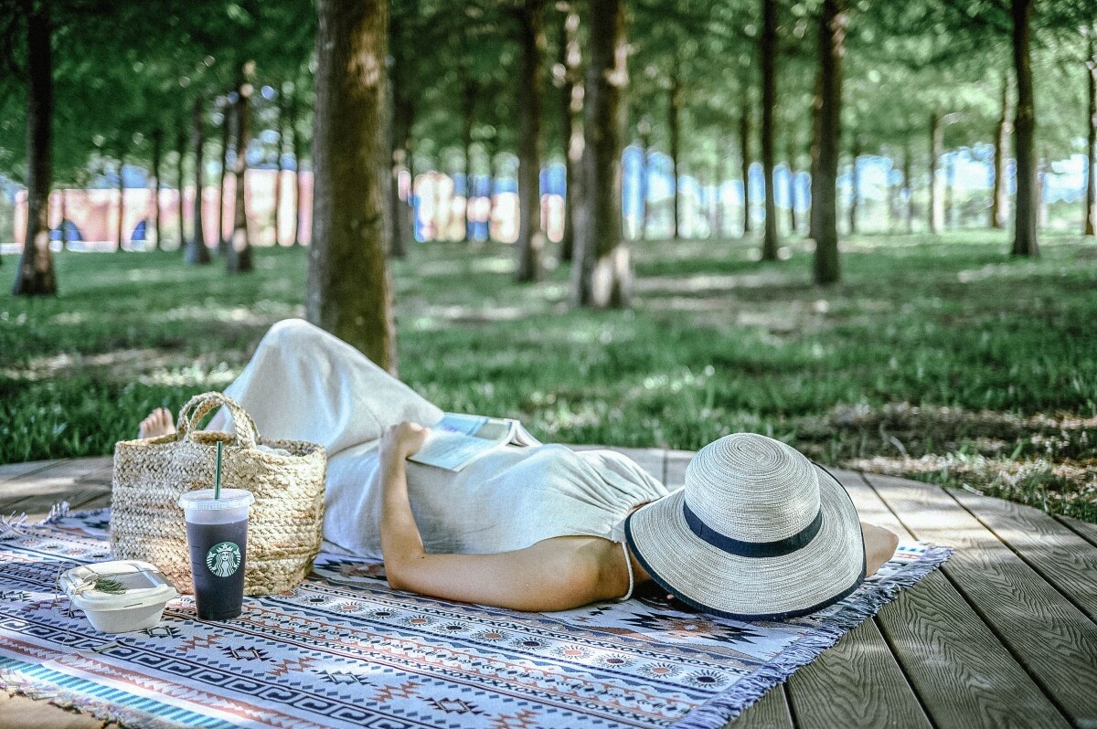 躲進夏天的微風角落 來野餐吧!